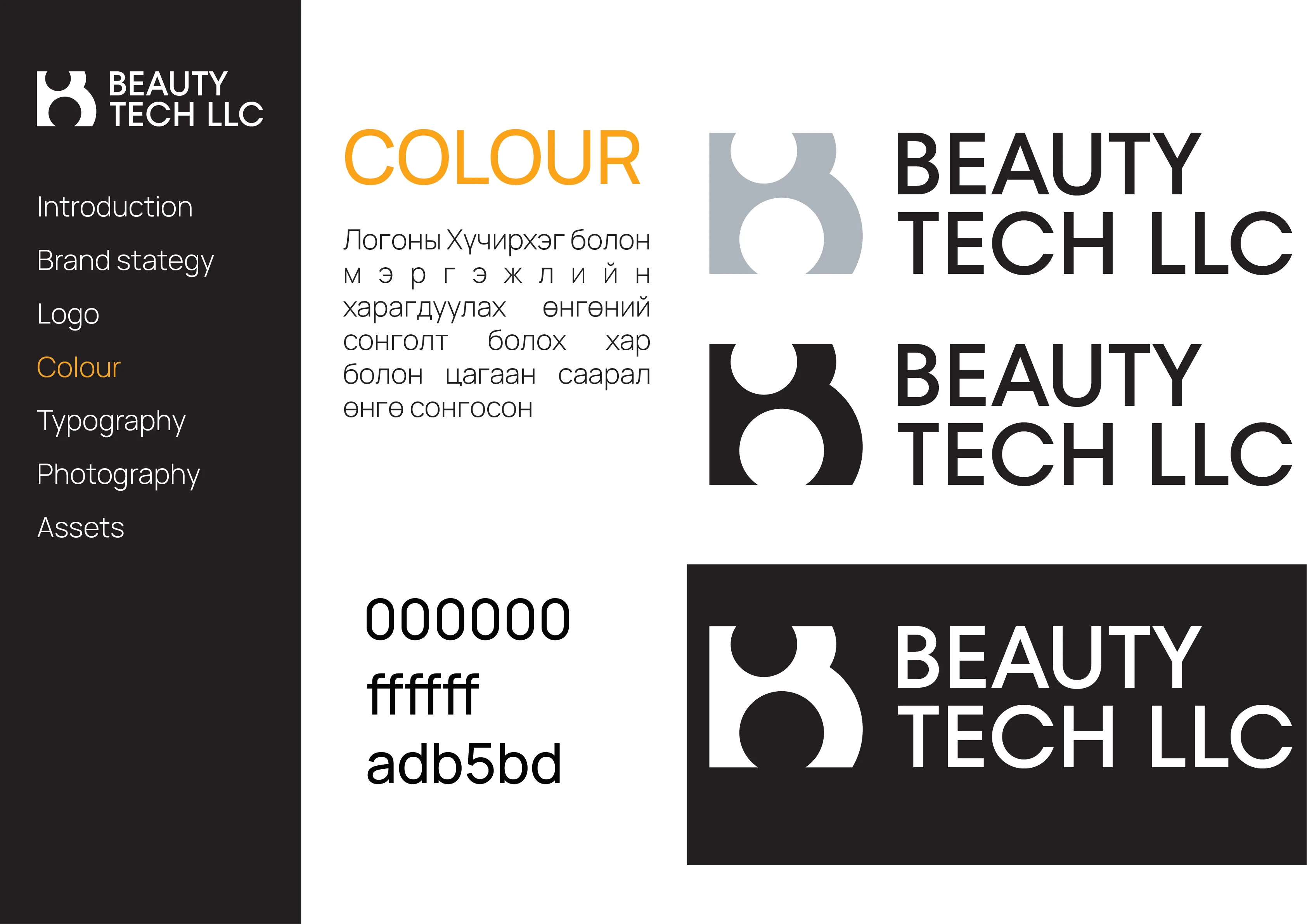 Beautytech LLC — 3.1